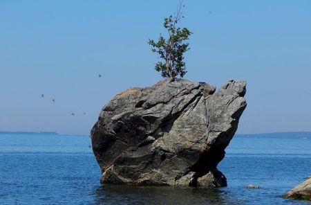 Скала Каменная черепаха на Бакале